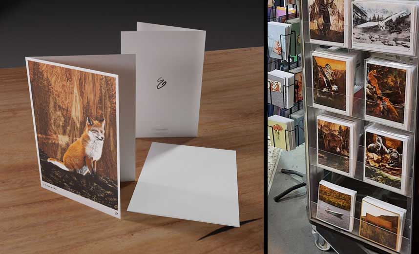 Cartes de souhaits de Stéphane Gouin