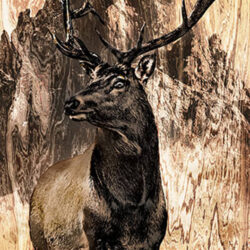 Stag standing in a field with mountain in the back on a wooden background