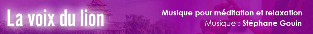 La voix du lion Musique de méditation Stéphane Gouin