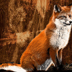 Fox sitting with wood background
