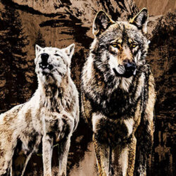 Two wolves still on wooden background