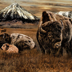 Bison family in a field on a wooden background