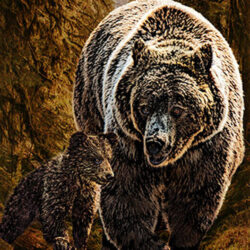 Grizzly bear walking in the woods with cub