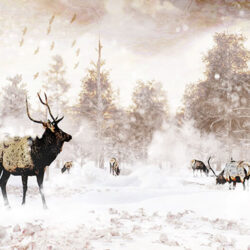 Reindeer feeding in the woods in the snow