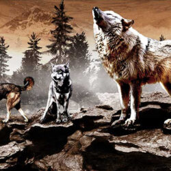 Pack of wolves in the woods