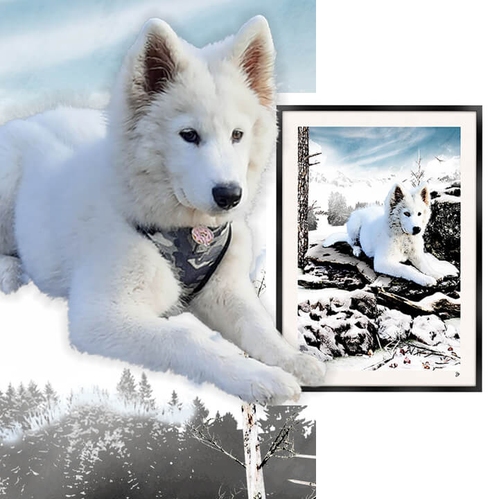 illustration sur mesure animal de compagnie