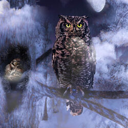 Owl with baby owls on winter night
